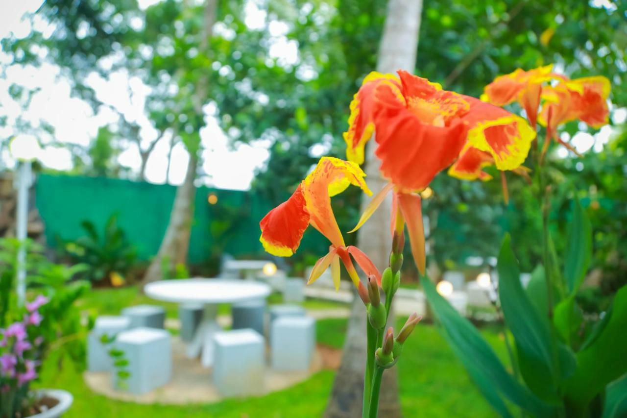 Hotel Moonstone Anuradhapura Kültér fotó